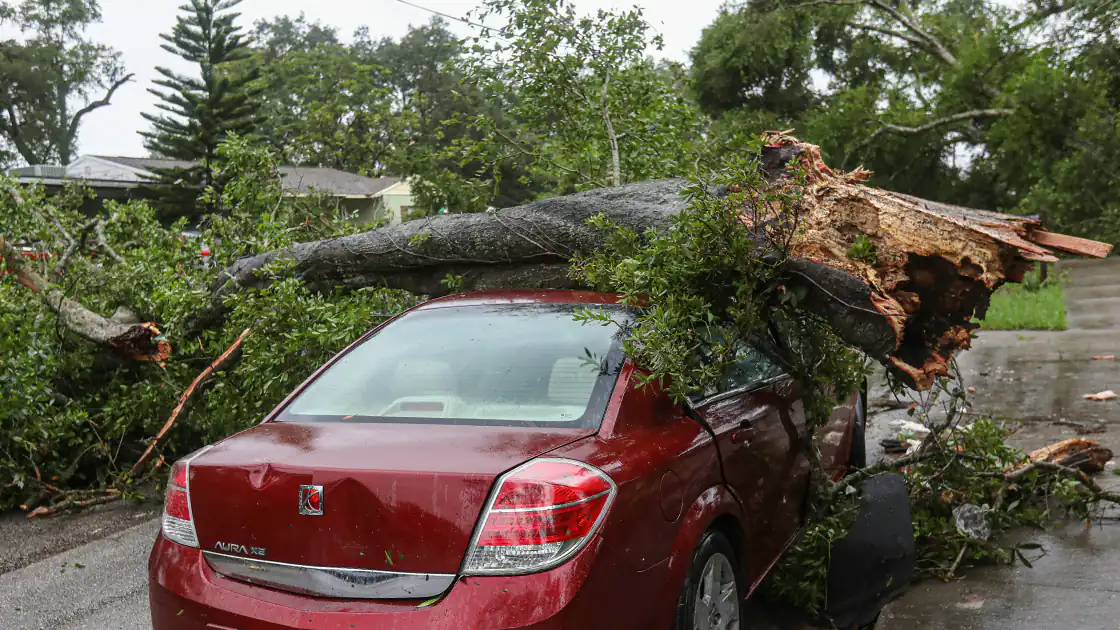 Schwere Schäden werden angerichtet wenn ein Auto unter einem umgestürzten oder umgesägten Baum begraben wird. Üblicherweise liegt dann auch ein Totalschaden am Auto vor. Im konkreten Bild ist ein rotes Auto zu sehen und ein Baum der auf das Dach des Autos gefallen ist.