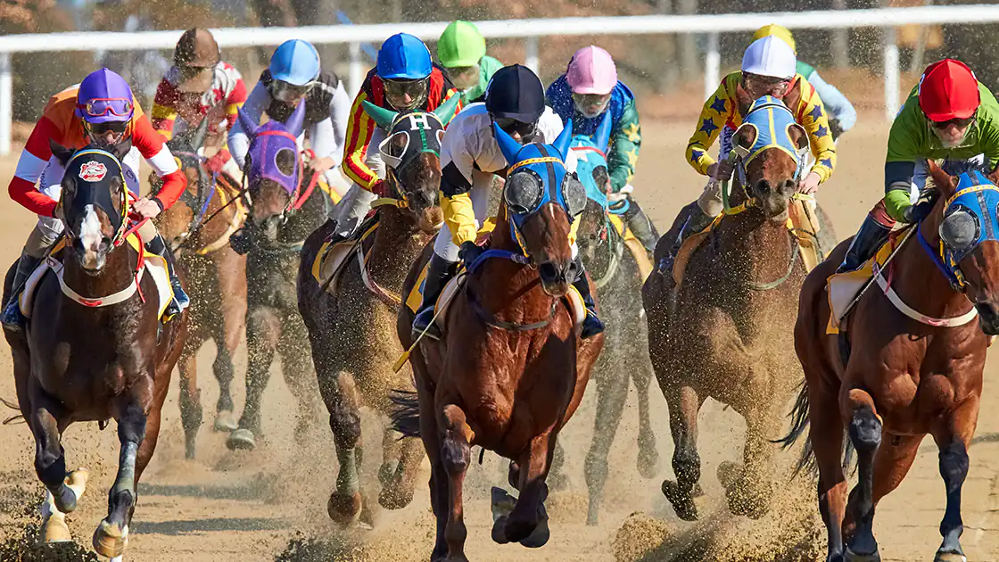 Ein Pferderennen mit vielen Galoppern ist hier im Laufen. Die Jockeys und ihre Pferde reiten auf die Kamera zu, es ist ein wildes Getümmel.
