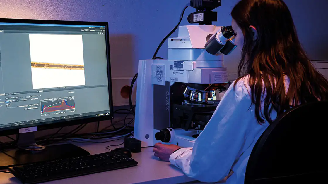 Bei der Untersuchung von Verbrechen setzt die Polizei auch auf Wissenschaft um Täter zu finden, Fingerabdrücke zu sichern oder kleinste Beweismittel zu analysieren. Die Suche nach Beweismitteln ist hier im Bild in einem Polizeilabor zu sehen, wo mit einem Mikroskop Spuren vom Tatort untersucht werden.