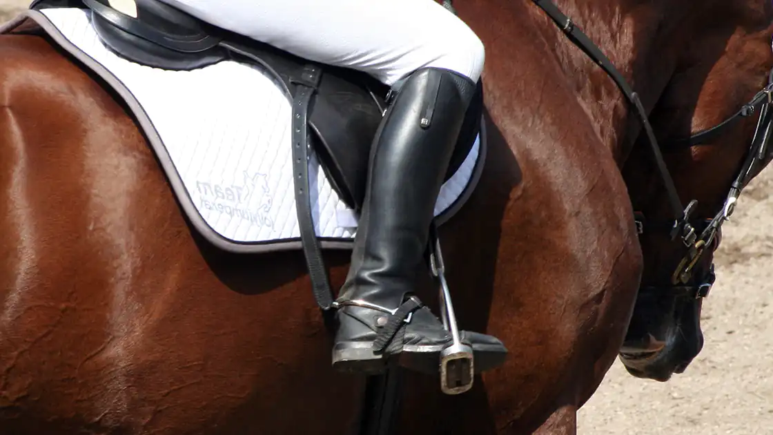 Eine Nahaufnahme beim Reiten zeigt den Körper eines braunen Pferdes und einen schwarzen Pferdesattel am Rücken. Im Sattel sitzt ein Reiter mit weißer Reithose und schwarzen Reitstiefeln und silberfarbenen Sporen an den Stiefeln.