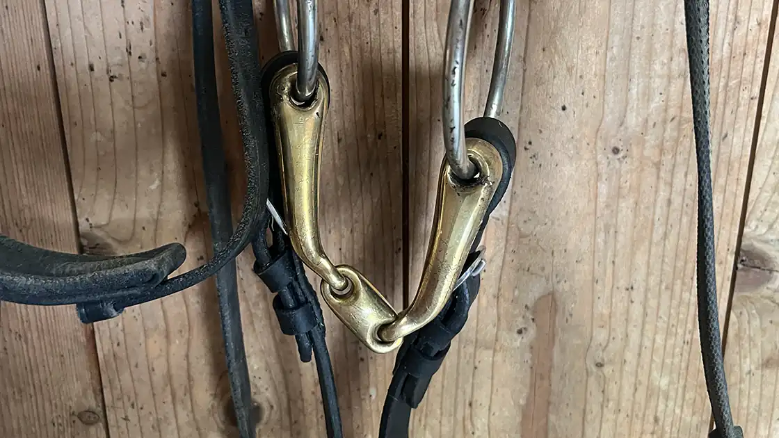An einer Holzwand in einem Reitstall hängt ein Zaumzeug. Genauer gesagt handelt es sich um einen Zaum mit einer doppelt gebrochenen Trense.