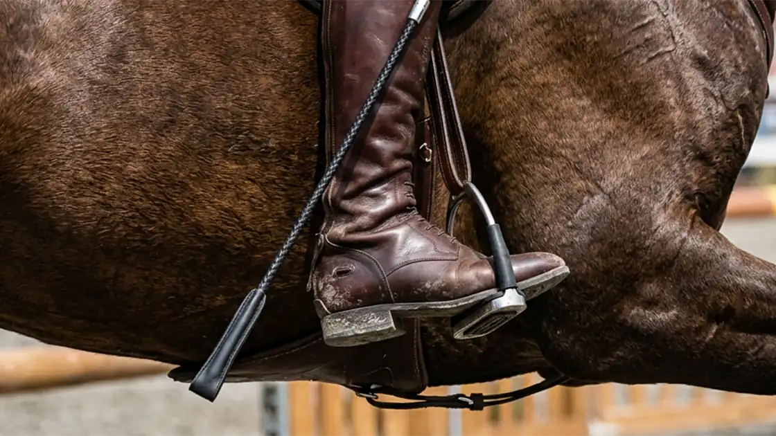 Detailaufnahme beim Reiten: Ein Pferdekörper ist zu sehen und davor das Bein eines Reiters mit einem braunen Reitstiefel und einer Gerte mit einer Klatsche vorne drauf. Außerdem sieht man den Steigbügel in dem der Reitstiefel liegt.