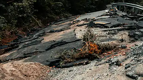 Im Zuge einer Naturkatastrophe wurde hier eine Straße zerstört. Man sieht die Straße, die in einen Wald hineinführt. Die Straße selbst ist schwer beschädigt, der Boden ist zerbrochen und mit Schutt überlagert.