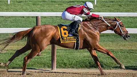 Ein Jockey ist beim Pferderennen mit seinem hellbraunen Pferd im gestreckten Galopp zu sehen. Das Bild zeigt den Reiter und das Pferd auf eine Pferderennbahn von der Seite. Der Jockey hängt mit hochgezogenen Steigbügeln über dem Sattel in der Luft und ist weit nach vorne gelehtn. Der Reiter trägt einen weißen Helm und eine rotes Trikot.