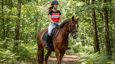 Durch einen Wald reitet eine Reiterin mit ihrem Pferd. Die Reiterin hat einen schwarzen Reithelm auf, lange braune Haare. Das Pferd ist hellbraun. Im Hintergrund ist nur der Wald und die Bäume zu sehen. Die Reiterin trägt ein T-Shirt auf dem die Flagge von Österreich abgebildet ist.