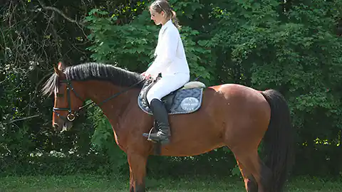 Eine Reiterin, die vollständig in weiß gekleidet ist und dazu schwarze Reitstiefel trägt sitzt auf einem brauen, großen Pferd. Hinter der Reiterin sind Bäume und Wiese zu sehen. Das Pferd steht ruhig und die Reiterin blickt auf den Pferdekopf von hinten. Die Szene zeigt die Reiterin und das Pferd von der Seite.