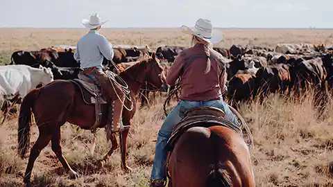 Two Western riders are shown from behind with their horses. They are riding side by side, with a herd of cattle and a vast prairie stretching to the horizon ahead of them. It is a symbolic image of cowboys.