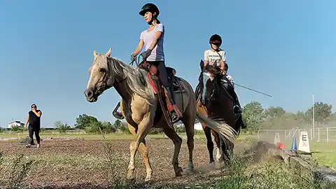 Eine Reitstunde am Reitplatz wird mit mehreren Pferden abehalten. Das Bild zeigt den Reitunterricht aus der Froschperspektive. Man sieht eine Reiterin an der Kamera vorbei reiten und eine dahinter reitende Person direkt auf die Kamera zureiten. Im Hintergrund auf der linken Bildseite ist eine Reitlehrerin auf dem Reitplatz in dunkler Kleidung zu sehen. 