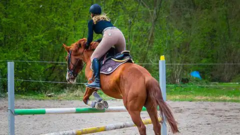 Eine Springreiterin, die mit ihrem Pferd über ein Hindernis springt ist von schräg hinten im Bild zu sehen. Im Hintergrund ist ein Wald. Der Parcoursplatz ist auf einem Sandboden. Die Reiterin ist weit aus dem Sattel hochgestiegen und nach vorne gelehnt.