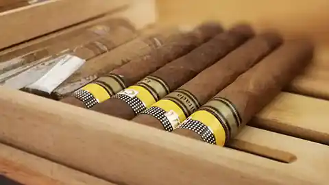 Ein geöffneter Humidor zur Aufbewahrung von wertvollen Zigarren ist zu sehen. Darin liegen einige Zigarren von bekannten Marken.